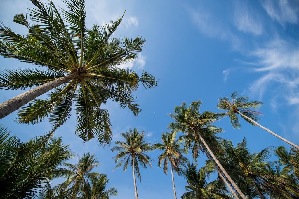 Seavana Koh Mak Beach Resort Bagian luar foto
